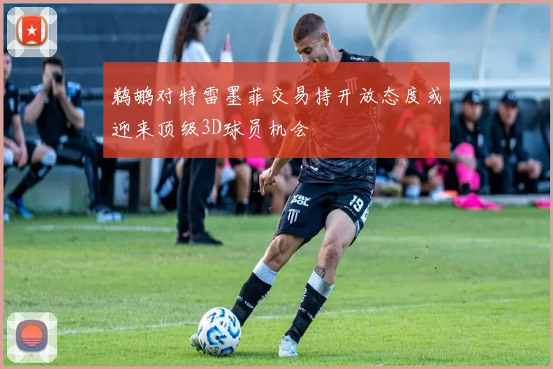 鹈鹕对特雷墨菲交易持开放态度或迎来顶级3D球员机会